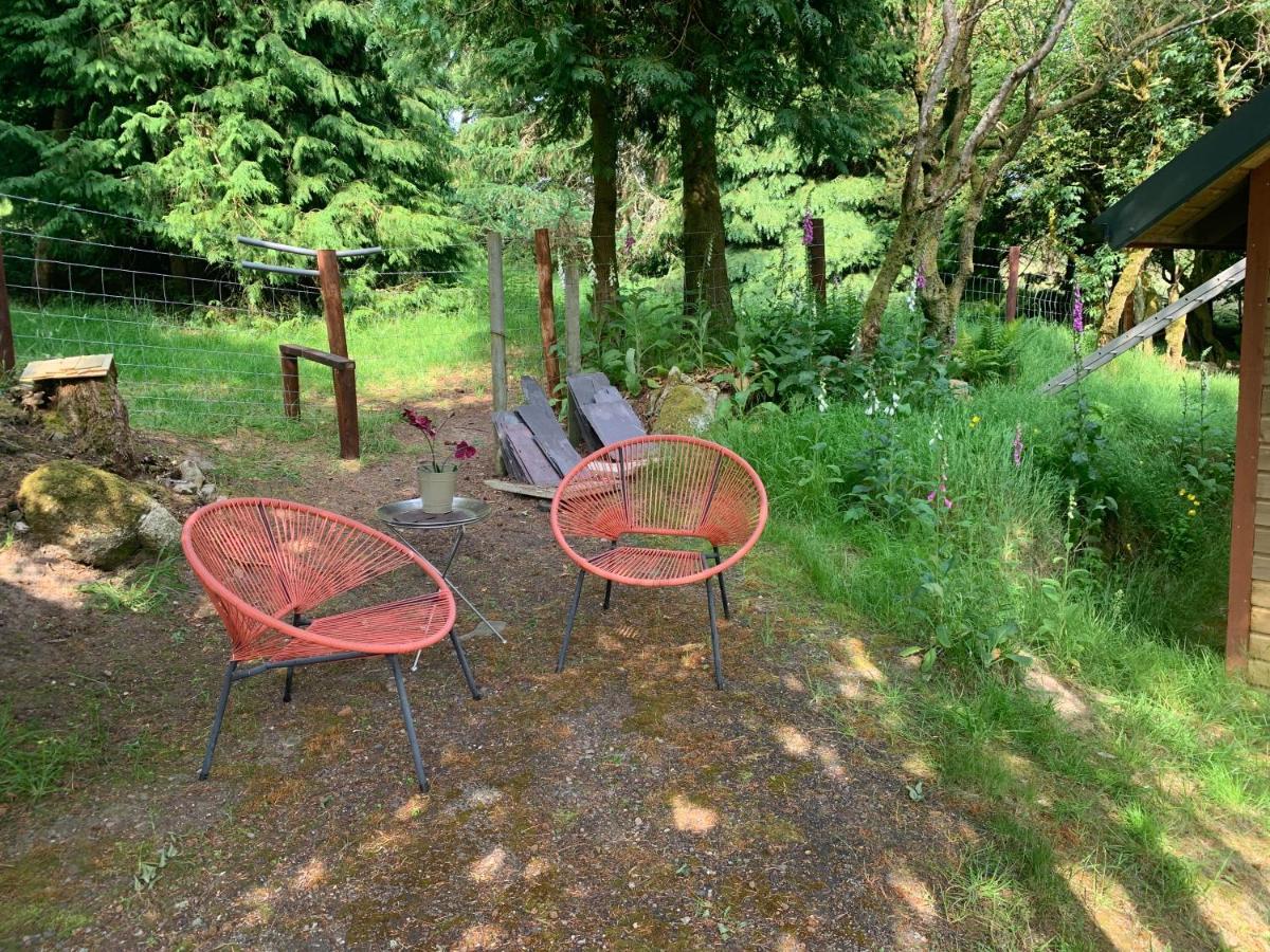 Willow Lodge Dublin Zewnętrze zdjęcie