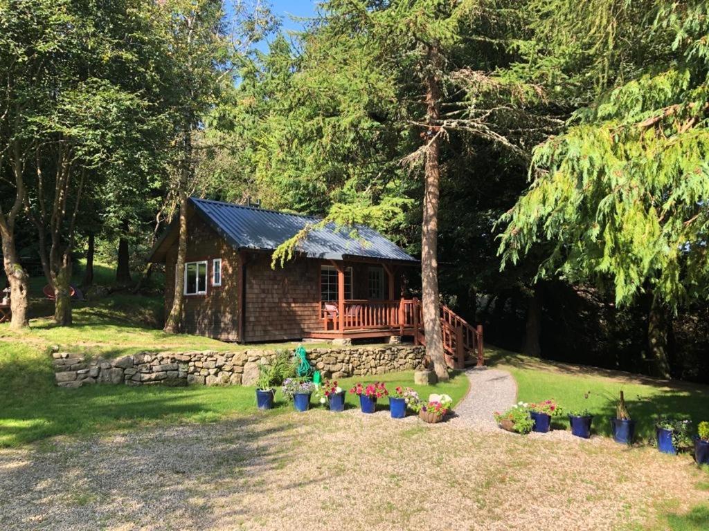 Willow Lodge Dublin Zewnętrze zdjęcie