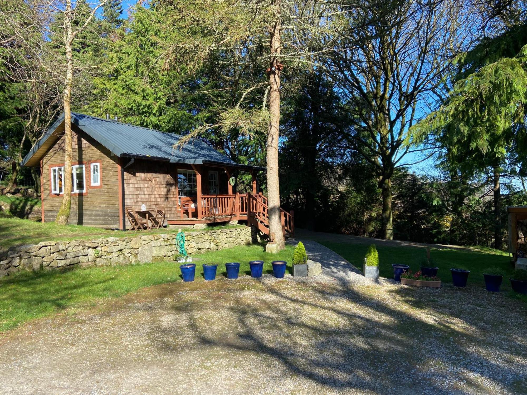 Willow Lodge Dublin Zewnętrze zdjęcie